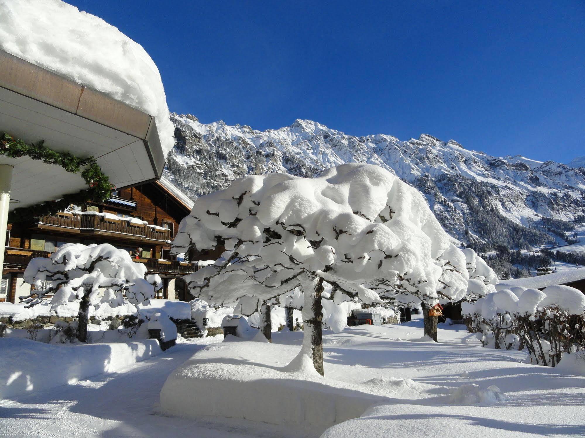 Hotel Alpenruhe - Vintage Design Hotel ヴェンゲン エクステリア 写真